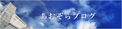 あおぞらブログ